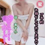 ヒメ日記 2025/02/14 16:12 投稿 谷　あすか ソープランド蜜 人妻・美熟女専門店