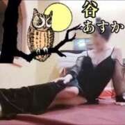 ヒメ日記 2025/02/19 21:23 投稿 谷　あすか ソープランド蜜 人妻・美熟女専門店