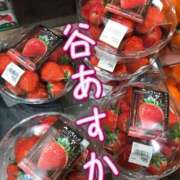 ヒメ日記 2025/02/20 12:56 投稿 谷　あすか ソープランド蜜 人妻・美熟女専門店