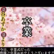 ヒメ日記 2025/03/01 23:52 投稿 谷　あすか ソープランド蜜 人妻・美熟女専門店