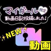 ヒメ日記 2025/03/03 23:42 投稿 谷　あすか ソープランド蜜 人妻・美熟女専門店