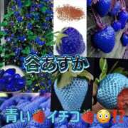 ヒメ日記 2025/03/12 12:10 投稿 谷　あすか ソープランド蜜 人妻・美熟女専門店