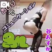 ヒメ日記 2025/04/19 16:02 投稿 谷　あすか ソープランド蜜 人妻・美熟女専門店