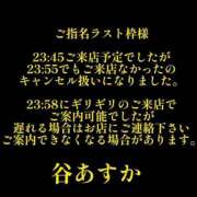 ヒメ日記 2025/04/23 03:22 投稿 谷　あすか ソープランド蜜 人妻・美熟女専門店