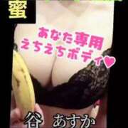 ヒメ日記 2025/05/08 16:12 投稿 谷　あすか ソープランド蜜 人妻・美熟女専門店