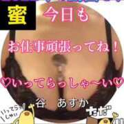 ヒメ日記 2025/05/29 09:22 投稿 谷　あすか ソープランド蜜 人妻・美熟女専門店