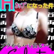 ヒメ日記 2025/06/04 17:52 投稿 谷　あすか ソープランド蜜 人妻・美熟女専門店