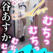 ヒメ日記 2025/07/29 15:03 投稿 谷　あすか ソープランド蜜 人妻・美熟女専門店