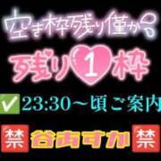 ヒメ日記 2025/08/15 16:52 投稿 谷　あすか ソープランド蜜 人妻・美熟女専門店