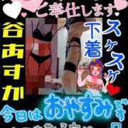 ヒメ日記 2025/08/28 18:02 投稿 谷　あすか ソープランド蜜 人妻・美熟女専門店