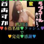 ヒメ日記 2025/10/05 13:05 投稿 谷　あすか ソープランド蜜 人妻・美熟女専門店