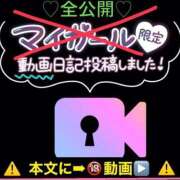 ヒメ日記 2025/11/13 08:22 投稿 谷　あすか ソープランド蜜 人妻・美熟女専門店