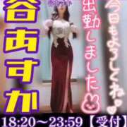 ヒメ日記 2025/11/14 18:02 投稿 谷　あすか ソープランド蜜 人妻・美熟女専門店