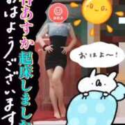 ヒメ日記 2025/11/16 11:52 投稿 谷　あすか ソープランド蜜 人妻・美熟女専門店