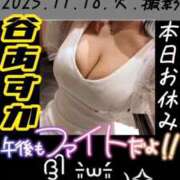 ヒメ日記 2025/12/11 12:22 投稿 谷　あすか ソープランド蜜 人妻・美熟女専門店