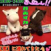 谷　あすか ✅14日(日)  🐎出勤しました🚩 ソープランド蜜 人妻・美熟女専門店