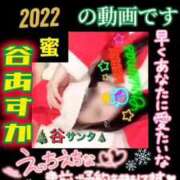 ヒメ日記 2025/12/25 20:47 投稿 谷　あすか ソープランド蜜 人妻・美熟女専門店