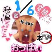 ヒメ日記 2026/01/06 12:03 投稿 谷　あすか ソープランド蜜 人妻・美熟女専門店