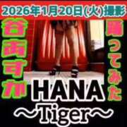 谷　あすか 【今撮った✨NEW✨動画】✅踊ってみた‼️ ソープランド蜜 人妻・美熟女専門店