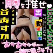 ヒメ日記 2026/01/24 18:16 投稿 谷　あすか ソープランド蜜 人妻・美熟女専門店