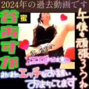 ヒメ日記 2026/02/12 12:35 投稿 谷　あすか ソープランド蜜 人妻・美熟女専門店