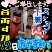 ヒメ日記 2026/02/12 18:35 投稿 谷　あすか ソープランド蜜 人妻・美熟女専門店