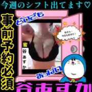 ヒメ日記 2026/03/14 21:12 投稿 谷　あすか ソープランド蜜 人妻・美熟女専門店