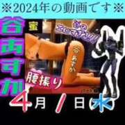 ヒメ日記 2026/04/01 15:22 投稿 谷　あすか ソープランド蜜 人妻・美熟女専門店