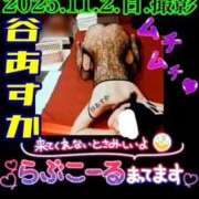 ヒメ日記 2026/04/22 18:39 投稿 谷　あすか ソープランド蜜 人妻・美熟女専門店