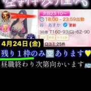 ヒメ日記 2026/04/24 17:14 投稿 谷　あすか ソープランド蜜 人妻・美熟女専門店