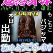 ヒメ日記 2026/04/29 14:52 投稿 谷　あすか ソープランド蜜 人妻・美熟女専門店