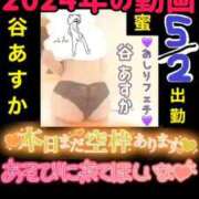 ヒメ日記 2026/05/02 16:12 投稿 谷　あすか ソープランド蜜 人妻・美熟女専門店