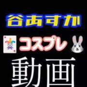 ヒメ日記 2026/05/03 15:52 投稿 谷　あすか ソープランド蜜 人妻・美熟女専門店