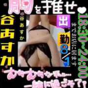 ヒメ日記 2026/08/01 12:42 投稿 谷　あすか ソープランド蜜 人妻・美熟女専門店