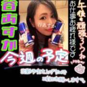 ヒメ日記 2026/08/06 12:22 投稿 谷　あすか ソープランド蜜 人妻・美熟女専門店