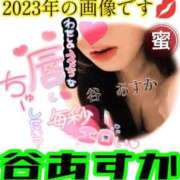ヒメ日記 2026/08/07 16:12 投稿 谷　あすか ソープランド蜜 人妻・美熟女専門店