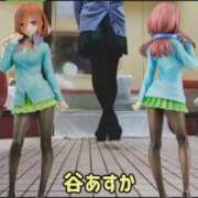 ヒメ日記 2026/08/24 07:42 投稿 谷　あすか ソープランド蜜 人妻・美熟女専門店