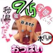 ヒメ日記 2026/09/15 15:22 投稿 谷　あすか ソープランド蜜 人妻・美熟女専門店