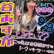 ヒメ日記 2026/09/23 16:32 投稿 谷　あすか ソープランド蜜 人妻・美熟女専門店