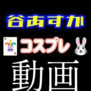 ヒメ日記 2026/09/26 14:02 投稿 谷　あすか ソープランド蜜 人妻・美熟女専門店