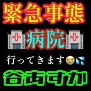 ヒメ日記 2026/09/26 15:02 投稿 谷　あすか ソープランド蜜 人妻・美熟女専門店