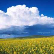 ヒメ日記 2025/11/28 08:00 投稿 神崎みく ミセス大阪十三店