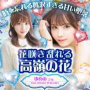 ヒメ日記 2025/04/28 00:51 投稿 ゆめの シャブール