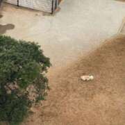 ヒメ日記 2026/09/28 11:27 投稿 清水あさひ(しみずあさひ) 神戸妻キャッスル店