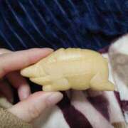 ヒメ日記 2025/01/24 11:29 投稿 大政RURU 全裸革命orおもいっきり痴漢電車