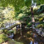 ヒメ日記 2025/06/16 12:19 投稿 大政RURU 全裸革命orおもいっきり痴漢電車