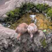 ヒメ日記 2025/07/23 00:49 投稿 大政RURU 全裸革命orおもいっきり痴漢電車