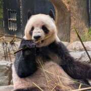 ヒメ日記 2025/07/30 12:49 投稿 大政RURU 全裸革命orおもいっきり痴漢電車