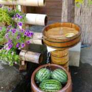 ヒメ日記 2025/09/04 12:09 投稿 大政RURU 全裸革命orおもいっきり痴漢電車