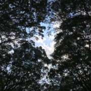 ヒメ日記 2025/09/20 12:09 投稿 大政RURU 全裸革命orおもいっきり痴漢電車